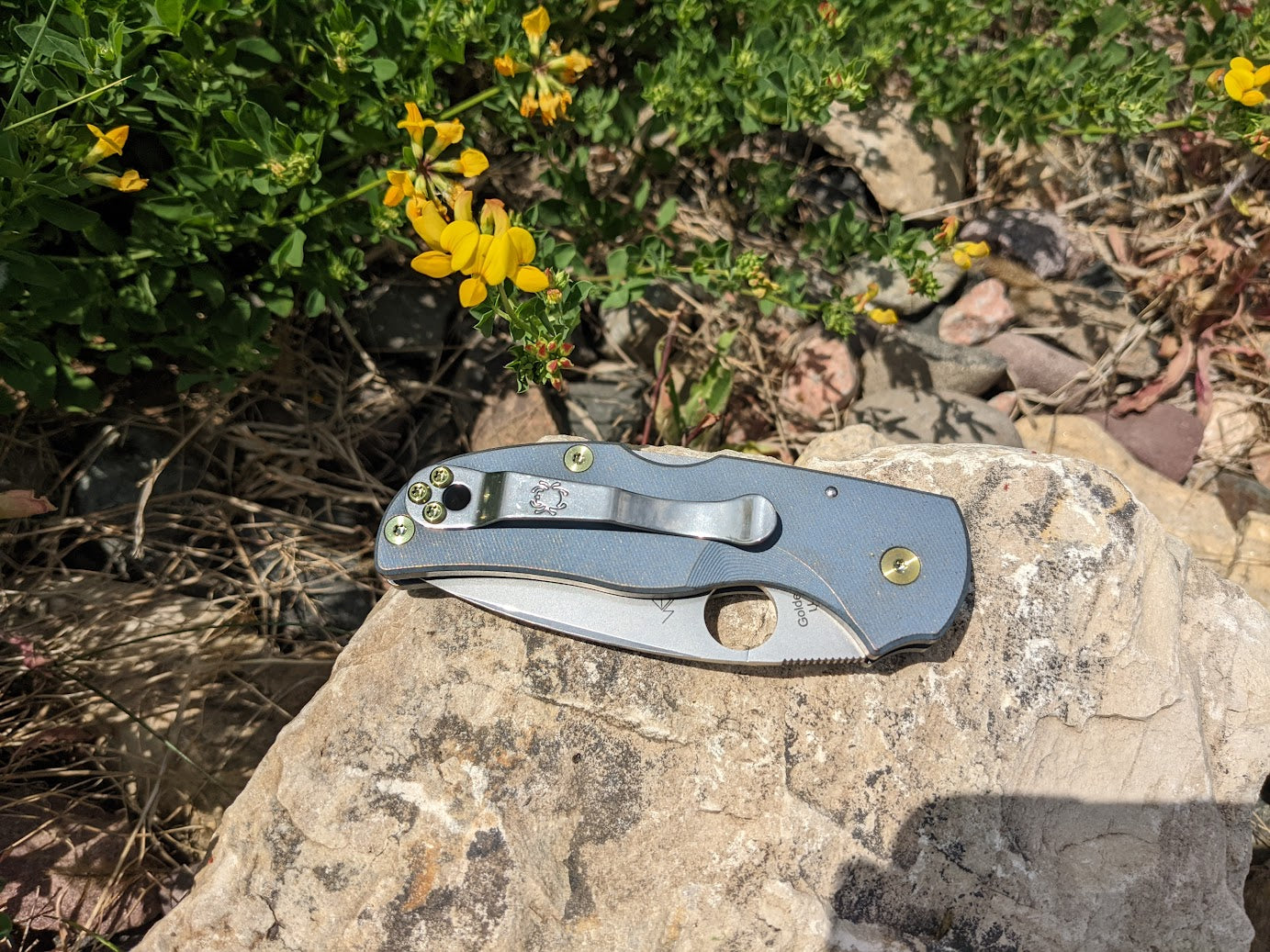 Spyderco Native 5 Titanium Scale Sets – Ripp's Garage Tech LLC