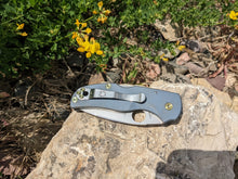 Load image into Gallery viewer, Spyderco Native 5 Titanium Scale Sets